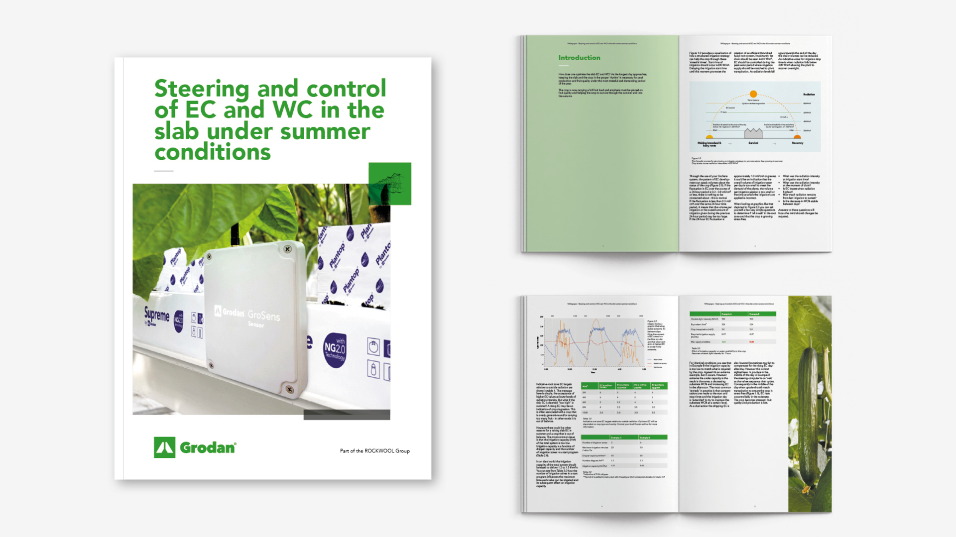 20200312 GR ILL 5053